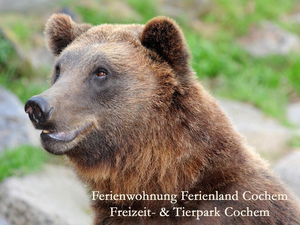 Ferienwohnungen Ferienland Cochem Bruttig-Fankel Dış mekan fotoğraf