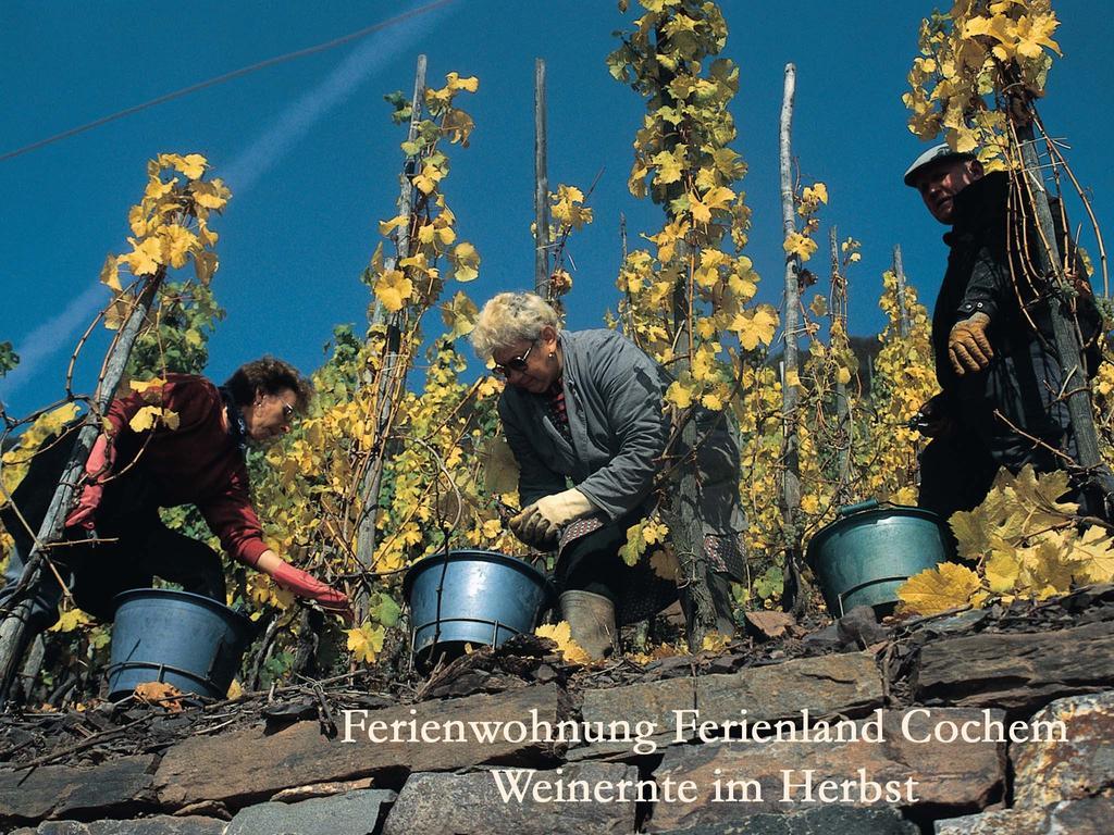 Ferienwohnungen Ferienland Cochem Bruttig-Fankel Dış mekan fotoğraf