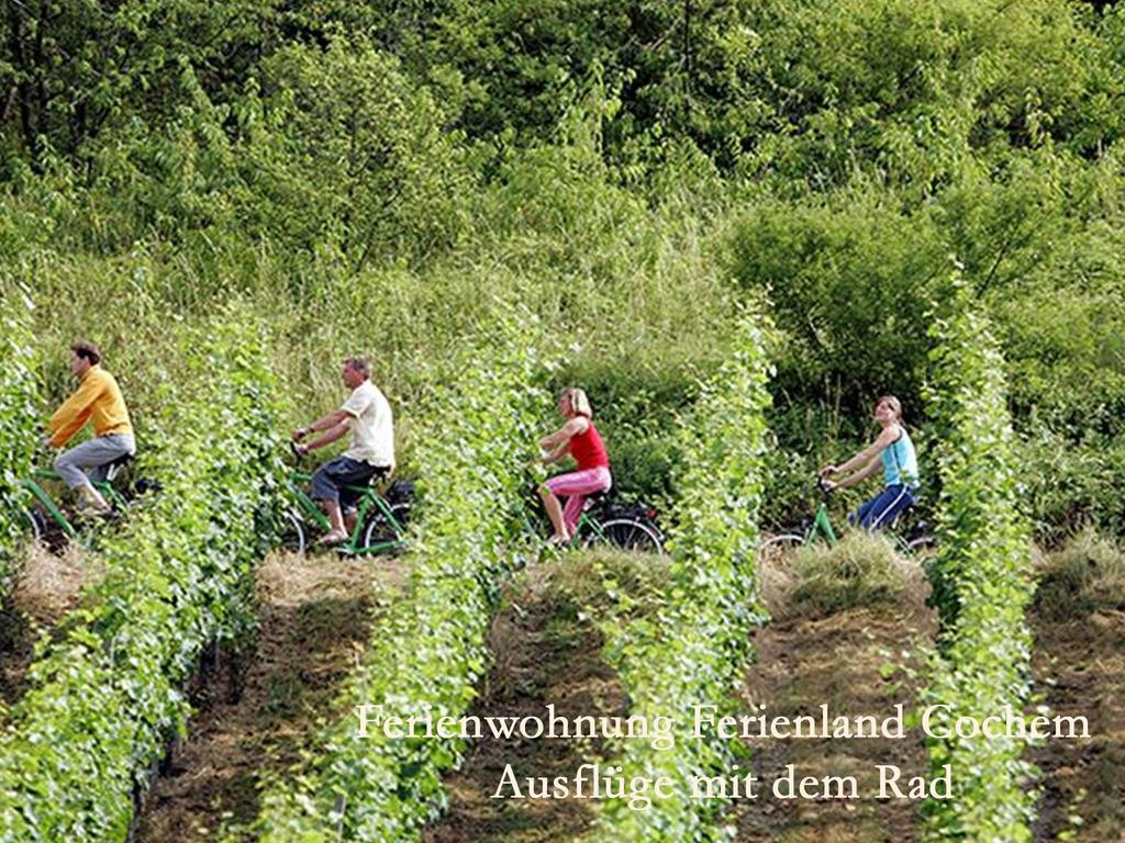 Ferienwohnungen Ferienland Cochem Bruttig-Fankel Dış mekan fotoğraf