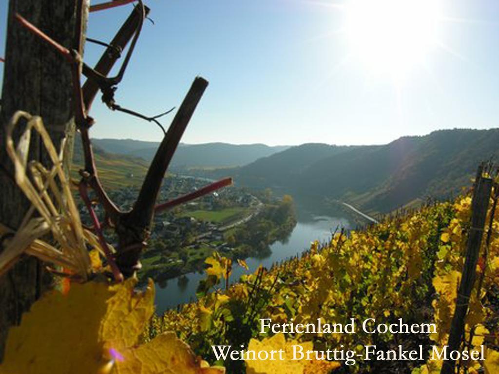 Ferienwohnungen Ferienland Cochem Bruttig-Fankel Dış mekan fotoğraf